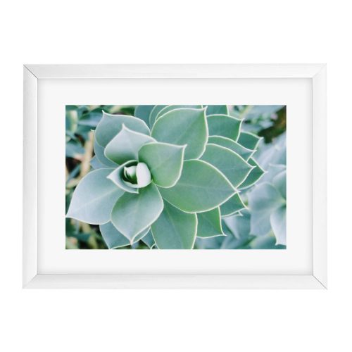 Goldbuch Your Gallery - Succulent Plastic Frame 13x18