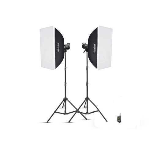 Godox MS300V-F Studio Flash Monolight 2x Flash (WITHOUT CARRY BAG)